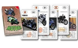 MOTORI IGR,KARTE 1001002 1*10