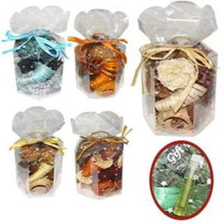 POTPOURRI 100 G, 9x25cm