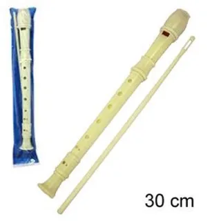 FLAUTA GLAZBENI INSTRUMENT
