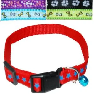 PETSTAR OGRLICA