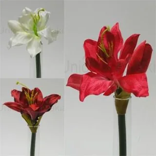 CVIJET AMARILIS 30CM