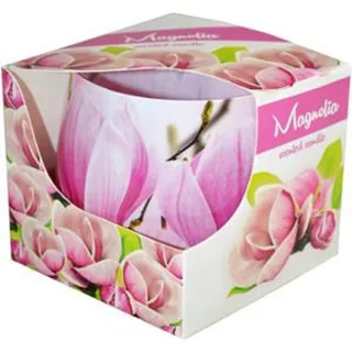 743 SVIJEČA U ČAŠI MAGNOLIJA