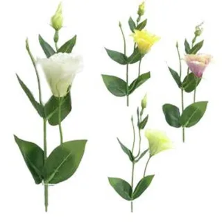 CVIJET LIZINTUS 48CM