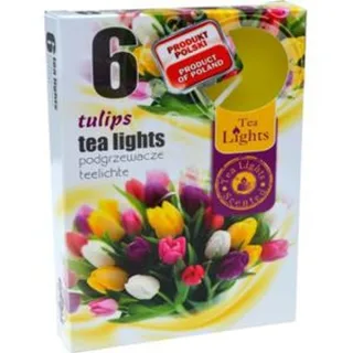 306 SET MIRISNE LUČICE 6/1 TULIPAN