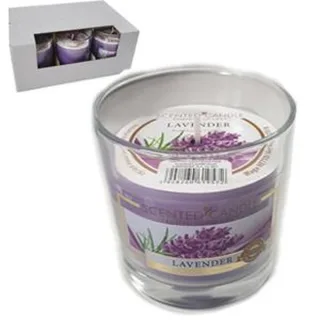 985 SVIJEĆA U ČAŠI LAVANDA VISINA 8 CM , PROMJER 7,5 CM