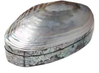 ARI-1 DRV. PERLA KUTIJA 17cm
