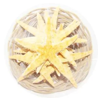 CB4STAR KOŠARE ZVIJEZDE 9,5CM