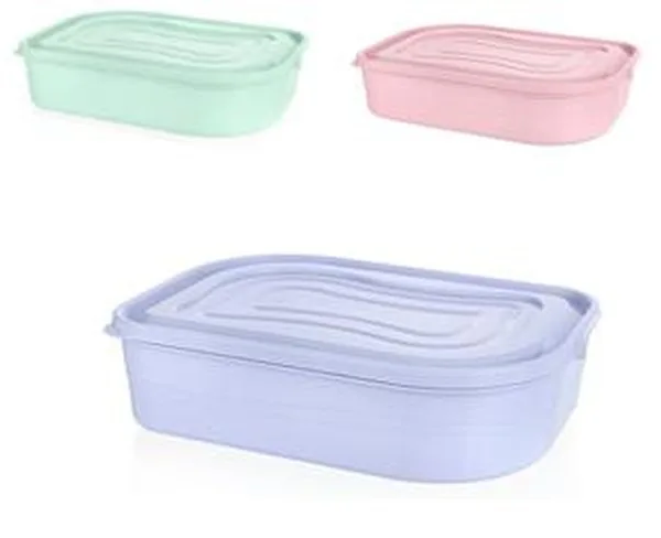 PVC Container 650ML