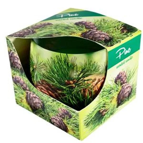 736 Candle in Glass - Pine