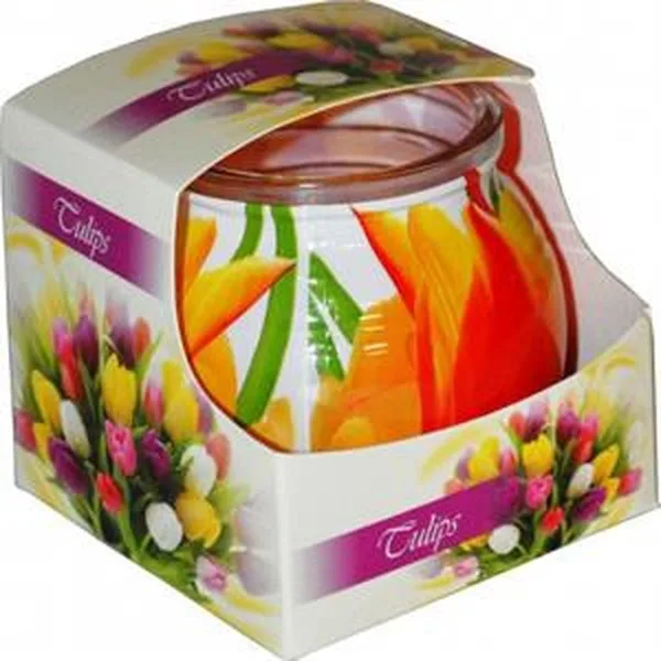 921 SVIJEĆA U ČAŠI TULIPAN