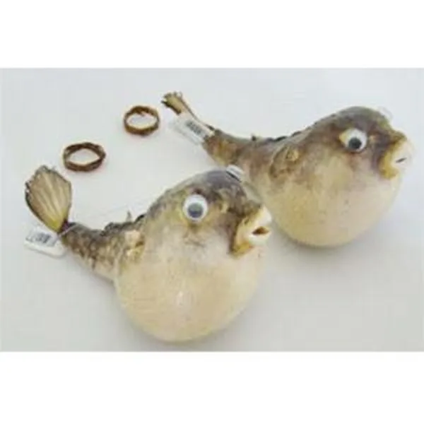 RIBA NAPUHANA BLOWFISH BF45